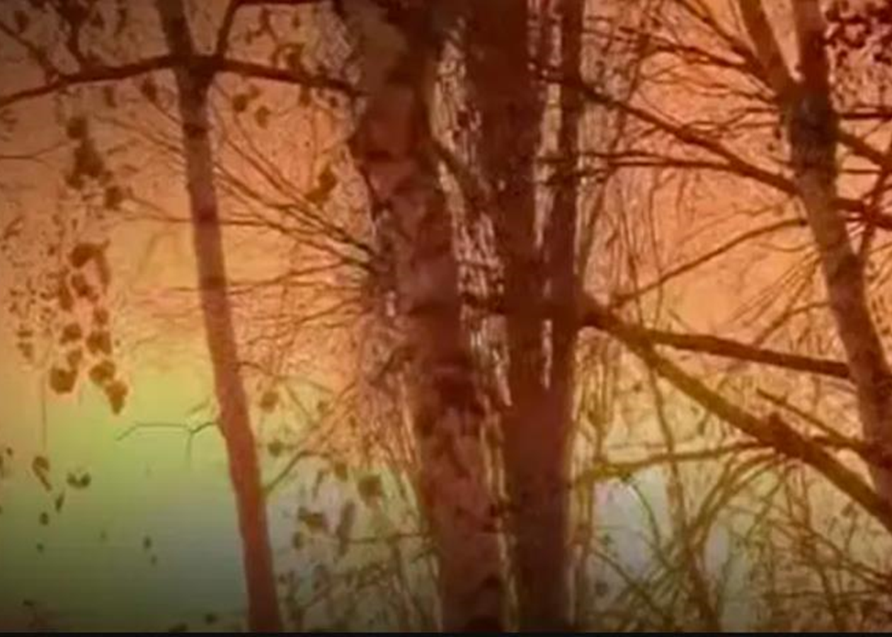 ЗСУ уразили російський НПЗ та склад дронів в Криму