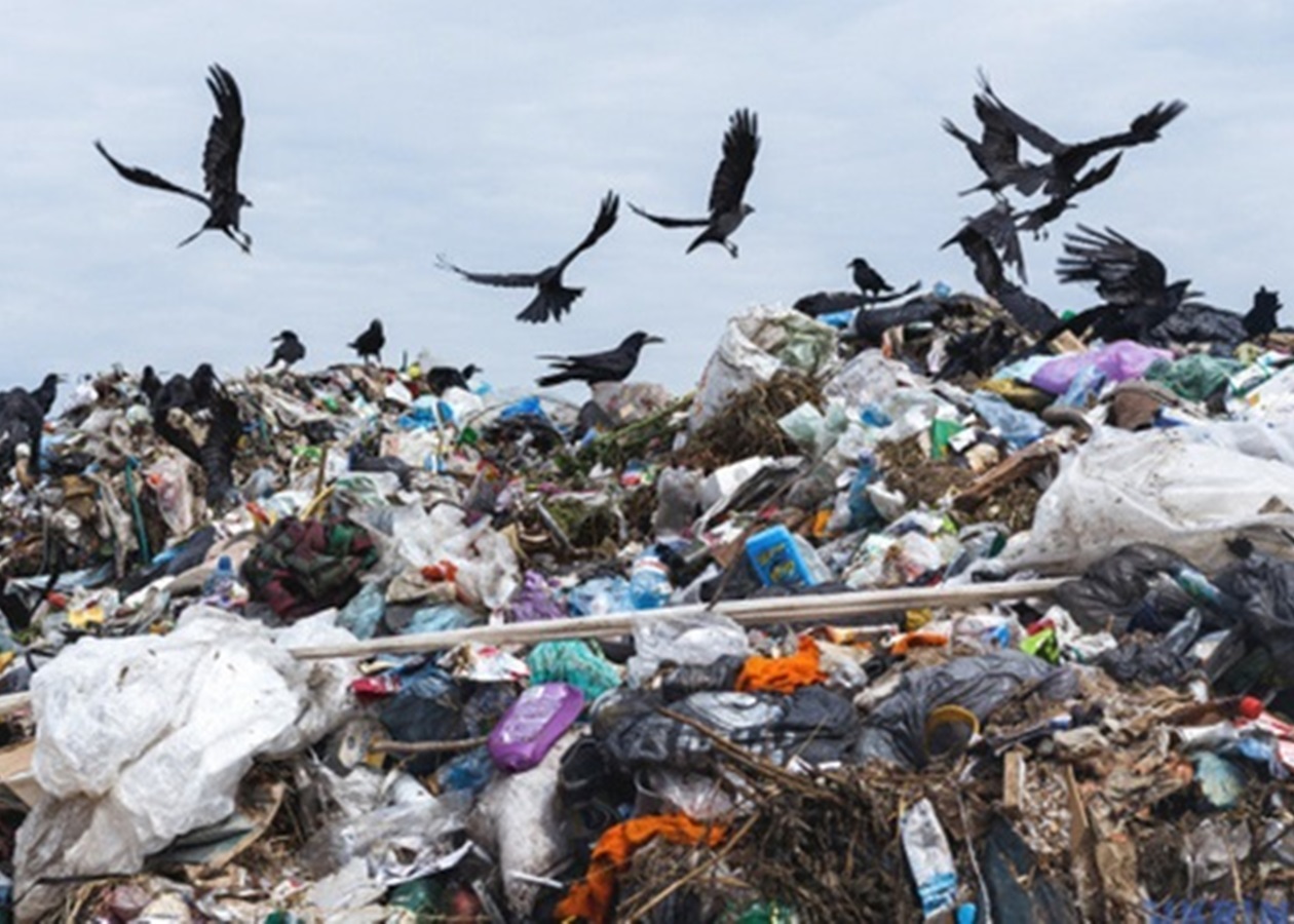 Вчені оцінили обсяг сміття, що викидається на Землі щороку