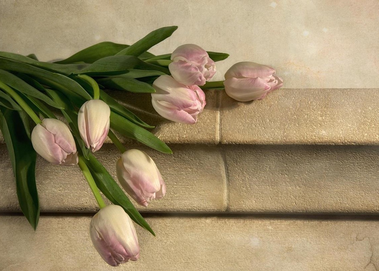 Свята 13 березня 2026: факти, традиції, іменини